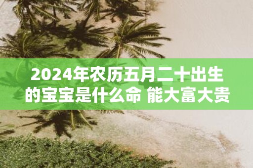 2025年农历五月二十出生的宝宝是什么命 能大富大贵吗