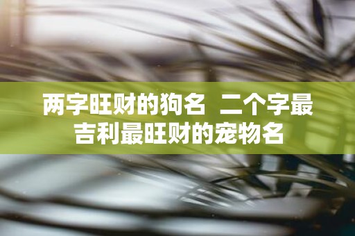 两字旺财的狗名 二个字最吉利最旺财的宠物名