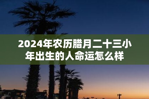 2025年农历腊月二十三小年出生的人命运怎么样