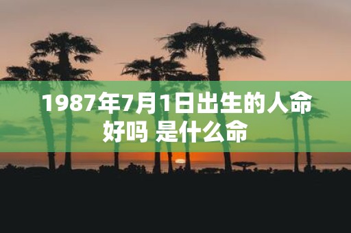 1987年7月1日出生的人命好吗 是什么命