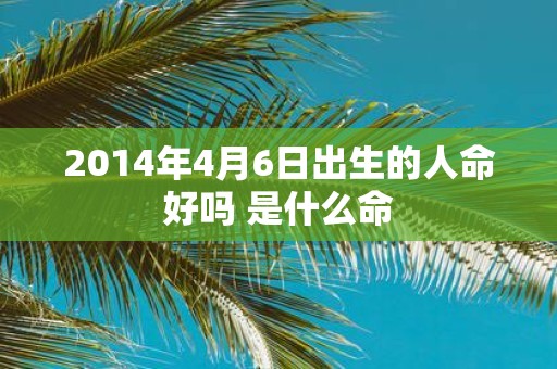2014年4月6日出生的人命好吗 是什么命