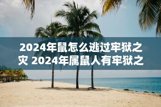 2025年鼠怎么逃过牢狱之灾 2025年属鼠人有牢狱之灾吗