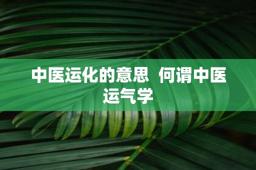 中医运化的意思 何谓中医运气学