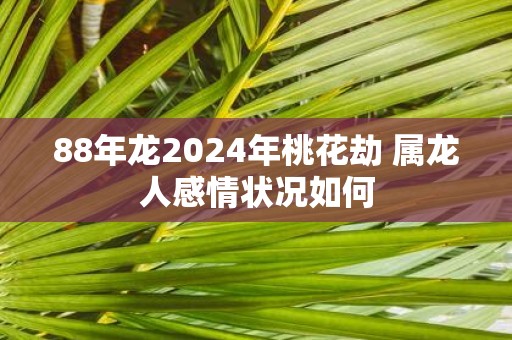 88年龙2025年桃花劫 属龙人感情状况如何