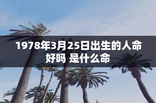 1978年3月25日出生的人命好吗 是什么命