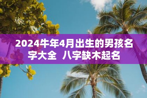 2025牛年4月出生的男孩名字大全 八字缺木起名