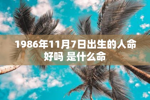 1986年11月7日出生的人命好吗 是什么命