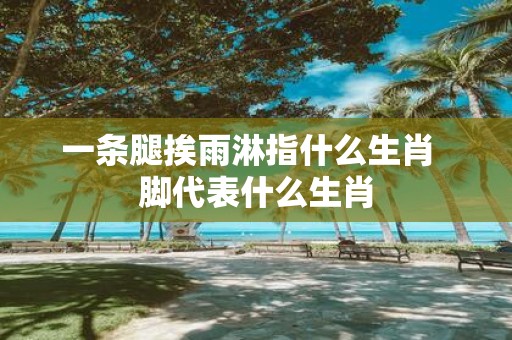 一条腿挨雨淋指什么生肖 脚代表什么生肖