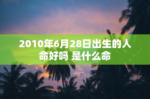 2010年6月28日出生的人命好吗 是什么命