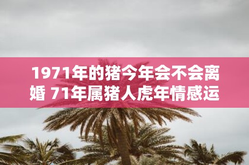 1971年的猪今年会不会离婚 71年属猪人虎年情感运势