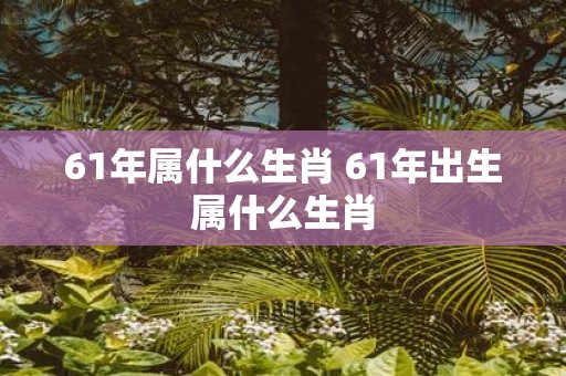 61年属什么生肖 61年出生属什么生肖