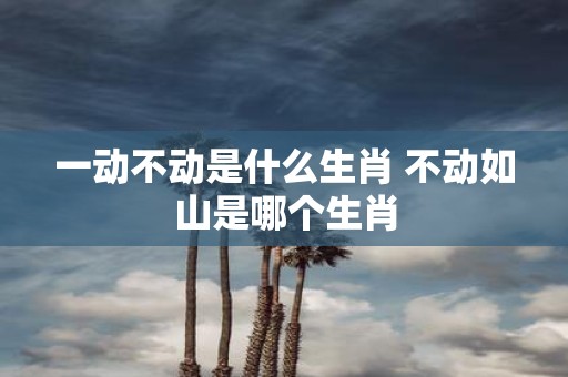 一动不动是什么生肖 不动如山是哪个生肖