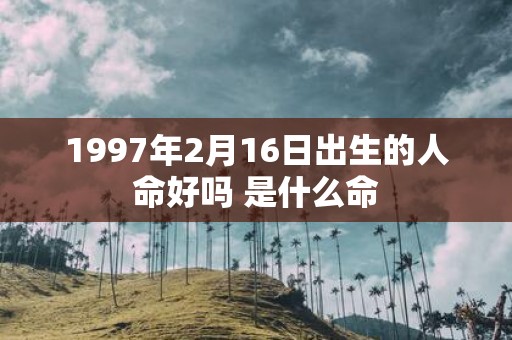 1997年2月16日出生的人命好吗 是什么命