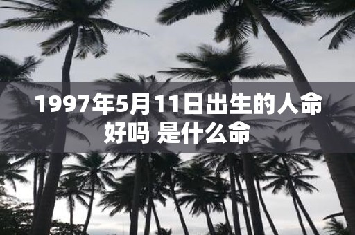 1997年5月11日出生的人命好吗 是什么命