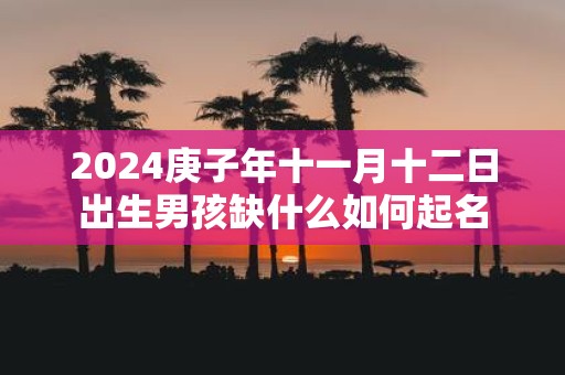 2025庚子年十一月十二日出生男孩缺什么如何起名