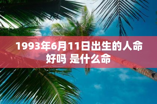 1993年6月11日出生的人命好吗 是什么命