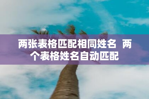 两张表格匹配相同姓名 两个表格姓名自动匹配