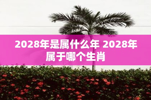 2028年是属什么年 2028年属于哪个生肖