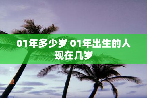 01年多少岁 01年出生的人现在几岁