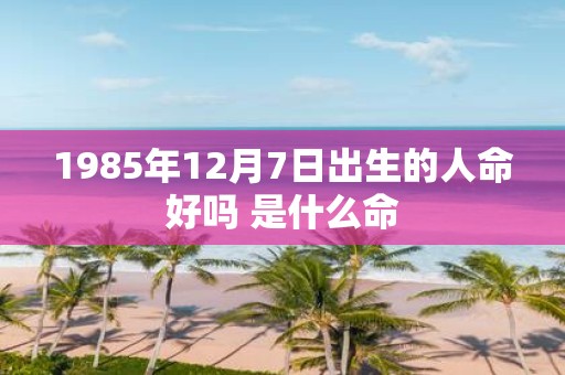 1985年12月7日出生的人命好吗 是什么命