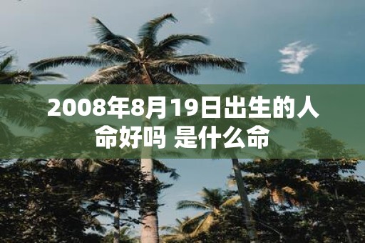 2008年8月19日出生的人命好吗 是什么命