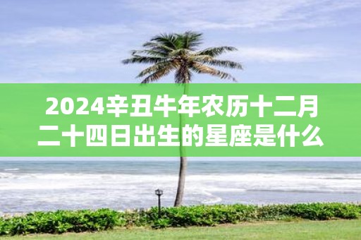 2025辛丑牛年农历十二月二十四日出生的星座是什么