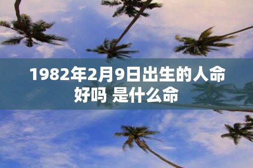 1982年2月9日出生的人命好吗 是什么命