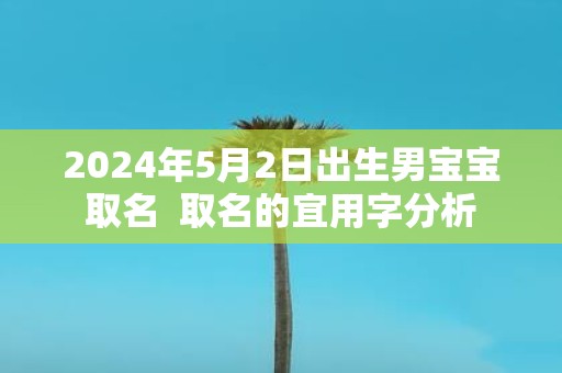 2025年5月2日出生男宝宝取名 取名的宜用字分析