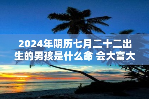 2025年阴历七月二十二出生的男孩是什么命 会大富大贵吗