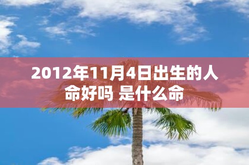 2012年11月4日出生的人命好吗 是什么命