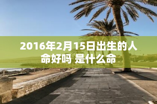 2016年2月15日出生的人命好吗 是什么命