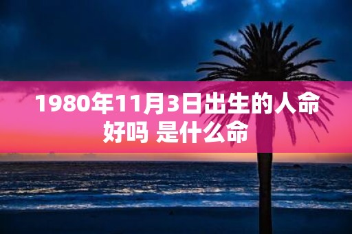 1980年11月3日出生的人命好吗 是什么命