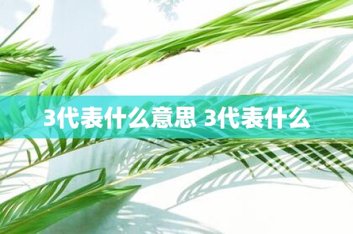 3代表什么意思 3代表什么