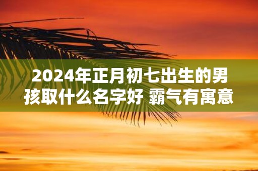 2025年正月初七出生的男孩取什么名字好 霸气有寓意的名字推荐