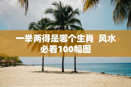 一举两得是哪个生肖 风水必看100幅图