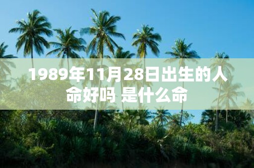 1989年11月28日出生的人命好吗 是什么命