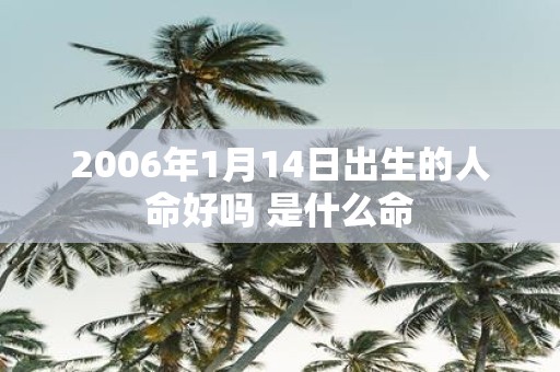 2006年1月14日出生的人命好吗 是什么命