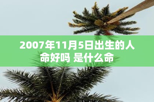 2007年11月5日出生的人命好吗 是什么命