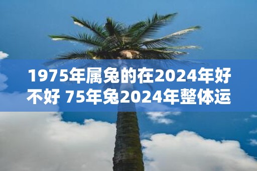 1975年属兔的在2025年好不好 75年兔2025年整体运势分析