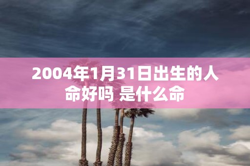 2004年1月31日出生的人命好吗 是什么命