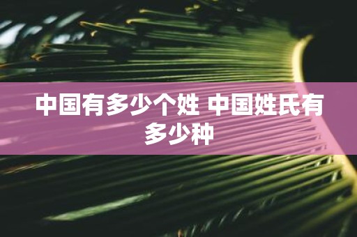 中国有多少个姓 中国姓氏有多少种