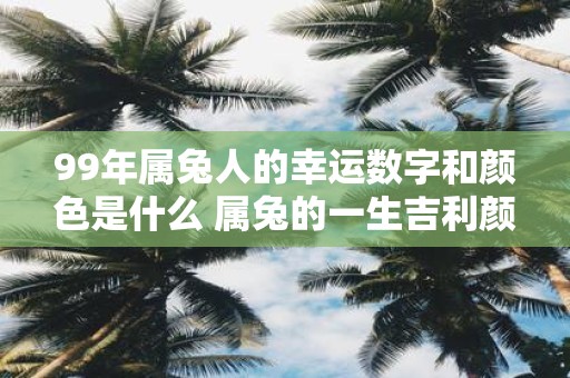 99年属兔人的幸运数字和颜色是什么 属兔的一生吉利颜色