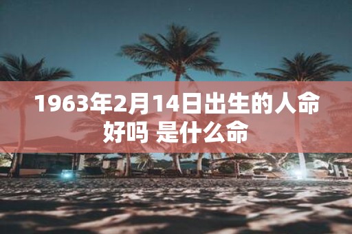 1963年2月14日出生的人命好吗 是什么命