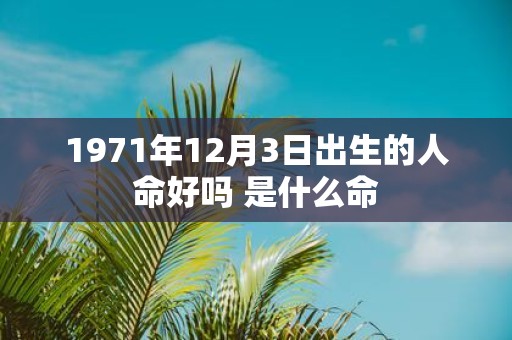 1971年12月3日出生的人命好吗 是什么命