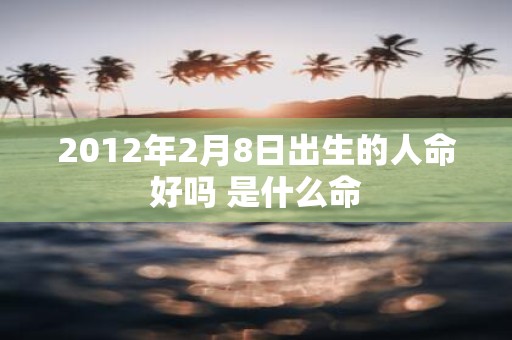 2012年2月8日出生的人命好吗 是什么命