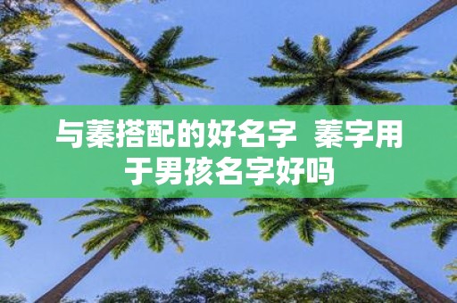 与蓁搭配的好名字 蓁字用于男孩名字好吗