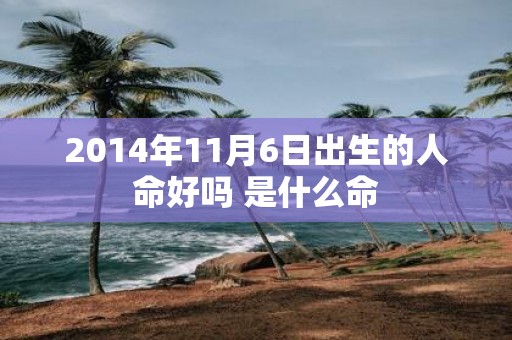 2014年11月6日出生的人命好吗 是什么命