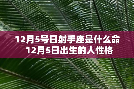 12月5号日射手座是什么命 12月5日出生的人性格