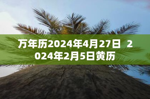 万年历2025年4月27日 2025年2月5日黄历
