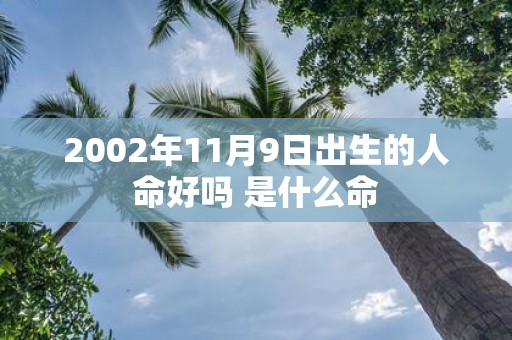 2002年11月9日出生的人命好吗 是什么命